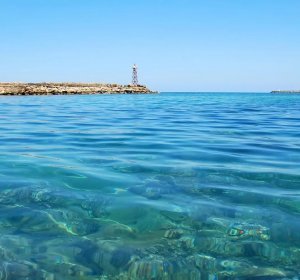 Туристи оспівують Червоне море